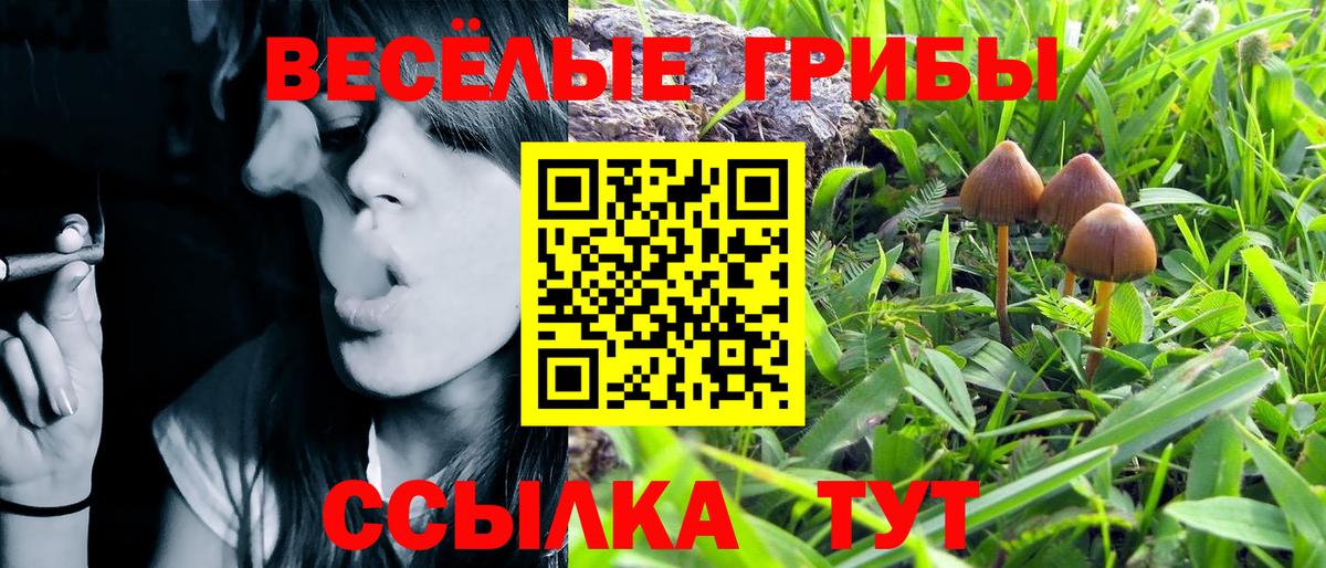 Галлюциногенные грибы MAGIC MUSHROOMS  Вход с VPN  Галлюциногенные грибы Psilocybine cubensis  Жуковский 